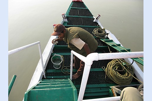 Viaggio in India 2008 - Sunderbans